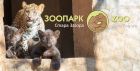 Зоопаркът в Стара Загора кани малки и големи да се включат в артателие Зоопаркът в Стара Загора кани малки и големи да се включат в артателие